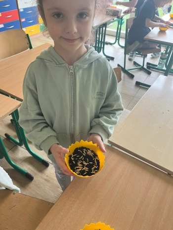 7da29def-db6f-4849-904c-dcd6d17841a1