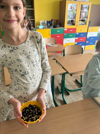 4a37da19-c872-4dd7-bb3e-3e42e0eef181