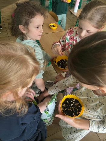 a784fbb2-493c-4a3e-9c6e-3402e2c95446