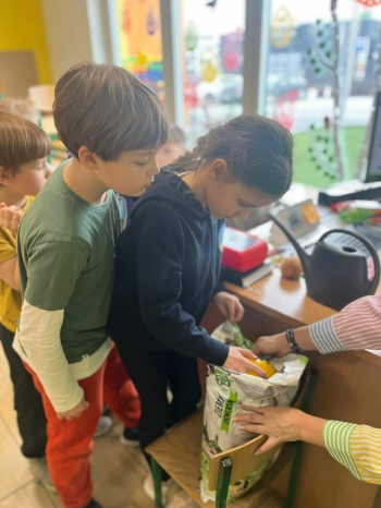 d53e705a-6535-49de-b80e-0b998f6035f2