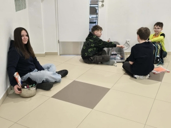 decaa071-bf4c-4646-9cb8-01ffc31d4bca