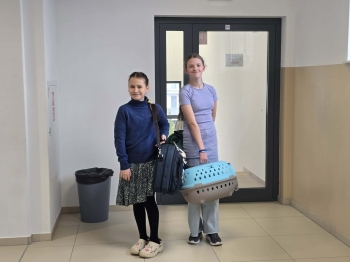 f4b6165a-72b1-4f94-a25d-652b39de1f8f