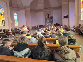 78cae88d-94cc-4f5b-8ff1-532206e371a6