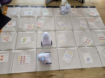 afe8fd06-658e-4f00-a700-5c13181f55a5