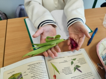 421bcac8-445b-426c-ba18-d5ac9966270e