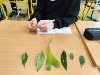 87c7a2aa-e0d1-44af-82aa-635afcfc76dd