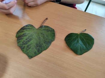 2508424f-5cdf-4bf2-9dc0-6c4208d7900e