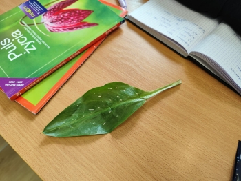 da32f5bc-aeeb-4978-a1a1-8e26f6afd691