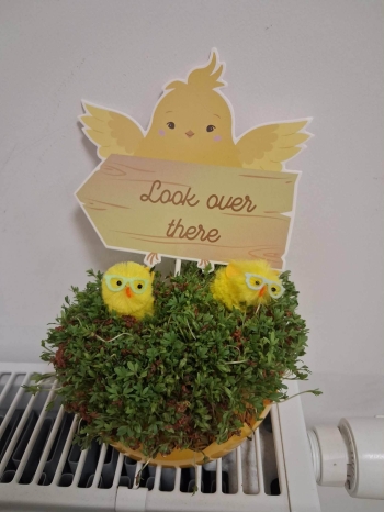 f0758f30-4400-41c1-8743-6f72481b0444