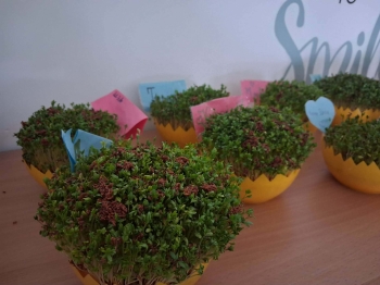 26be2c1d-cc51-4682-8704-7e03d79e327f