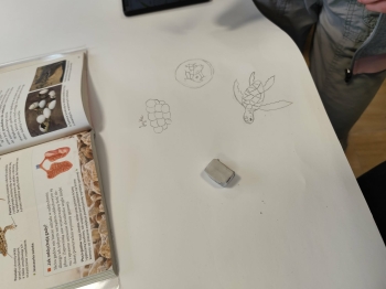 23334986-dda2-4825-adc5-b9d61ac83db2