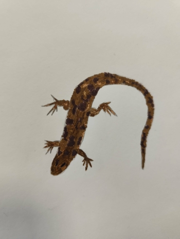 aca967f0-0579-4880-9fc2-e62a4099607d