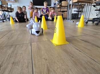 3fb04210-99f3-4969-8926-c9636dfb8695