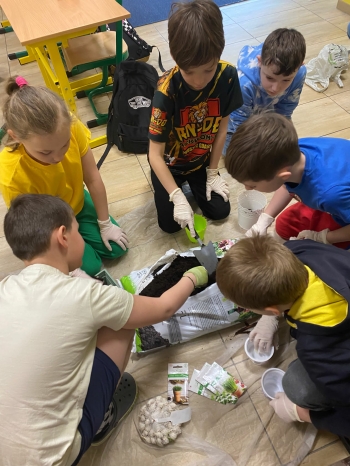 4a52b2d8-7b15-4bb9-8f4f-63edcebe03d3