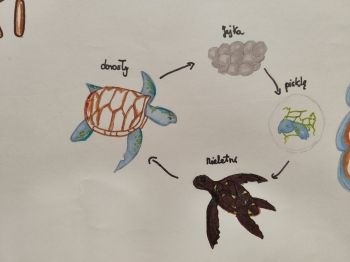 1c4aa85e-70c6-40ab-a31e-5795908e84a5