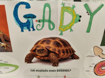 86a8c6f6-8b0c-4fb2-b461-6eae7d549d71