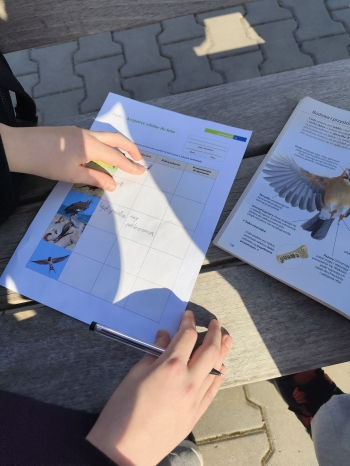 d565c81a-140d-43a3-8287-acfca67ec2d8