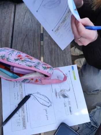 42c46480-b7d8-4f35-9308-c0c26e637499