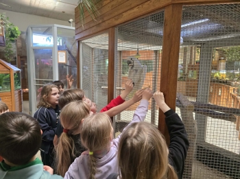 afd54c10-076e-4c02-b79a-f069154635d9