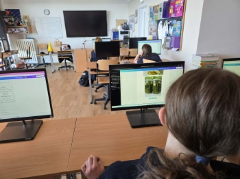 4928e518-a911-4b02-9620-0cfc1379b3bf