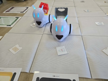 dcb81f91-2e4d-40aa-8375-2987066ca556.jfif