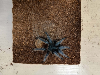 af0b486e-8654-46b1-a6da-b1a50b58b561