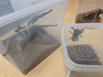 3504e811-440c-486f-bbf0-42854309b475