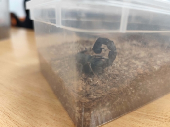 79a5cc7a-269d-4133-9926-5b4c9e4b31a0