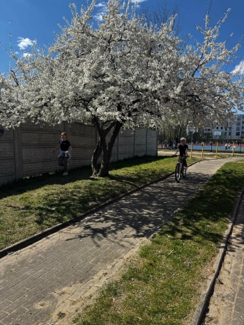 54933a93-e75d-4c50-8ee6-f1d9424f3db2