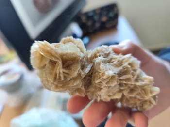 585efb41-293e-4cfd-96e2-bd4669bf558a