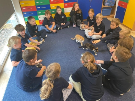 Hania poprowadziła inspirującą lekcję o adopcji kotków w klasie 1b