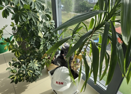 Inwestujemy w przyszłość – lepsze warunki do rozwoju pasji naszych uczniów