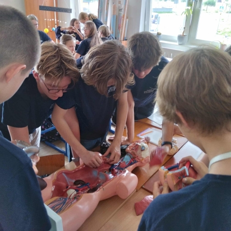 Uczniowie klasy 8 i 2 LO na lekcji biologii tworzą modele człowieka