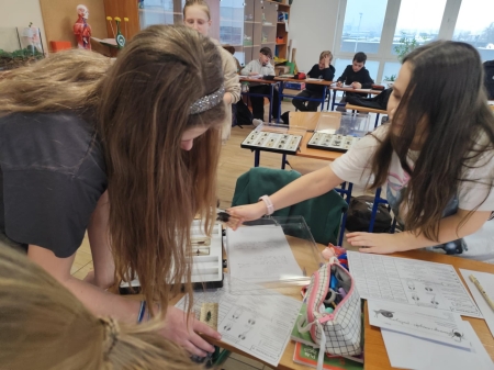 Innowacyjne podejście do nauki o stawonogach i mieczakach: uczniowie na podstawie modeli rozwiązują karty pracy