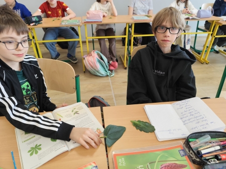 Lekcja pełna odkryć – uczniowie klasy 5 poznają liście