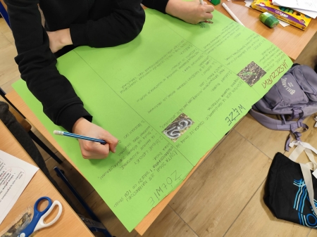 Poznajemy różnorodność gadów na lekcji biologii w klasie 6