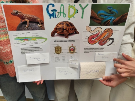 Różnorodność gadów – fascynujący świat zwierząt w klasie 6