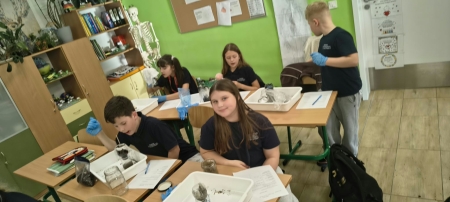 Tajemnice ukryte w ziemi. Klasa 4 na tropie przyrodniczych zagadek!